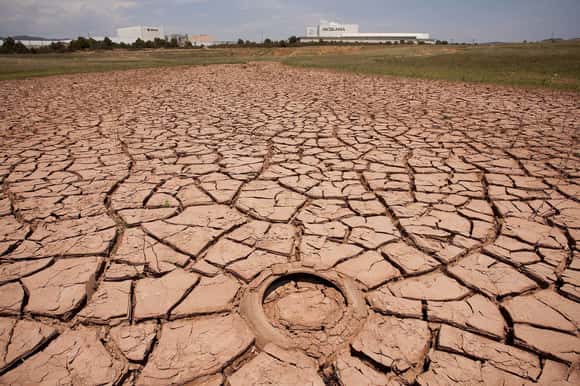 Bugallo reclama extender la emergencia agraria a distritos afectados por la sequía y medidas urgentes para el sector tambero