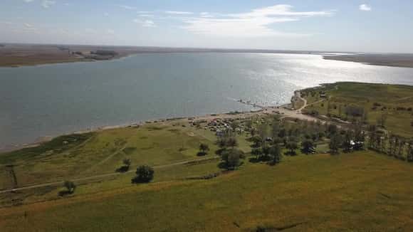 Alertas por cianobacterias en distintas lagunas del interior de la provincia