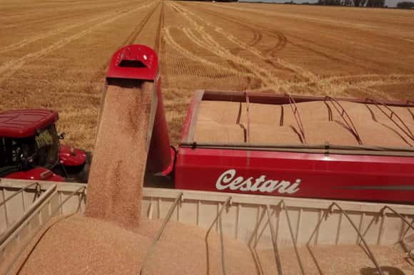Un economista vinculado al campo propone subir 1,75% el Impuesto PAIS para evitar la suba de retenciones