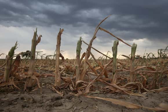 Nación avaló la emergencia agropecuaria para unos 50 distritos bonaerenses