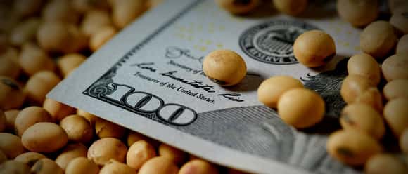 Levantan prohibición para acceder al mercado de cambio a empresas que operaron con dólar soja