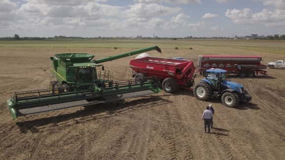 El Banco Nación anunció un marzo histórico en otorgamiento de créditos a la agroindustria