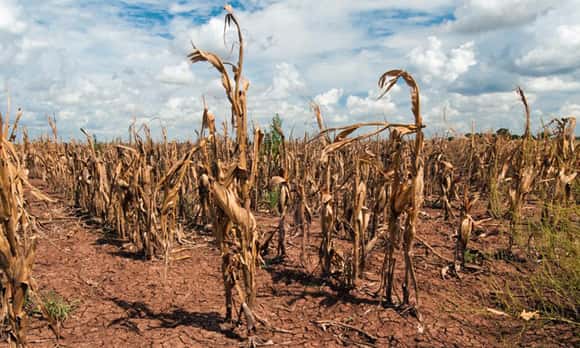 Último trimestre: vaticinan más calor que lo normal y bajas precipitaciones