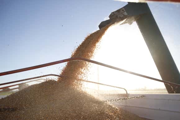 El campo liquidó exportaciones por unos 1.500 millones de dólares en marzo