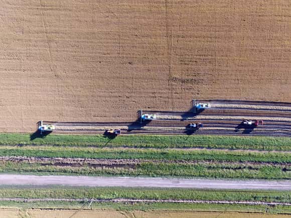 A días que suban las retenciones, el campo presiona a Milei y habla de “robo”