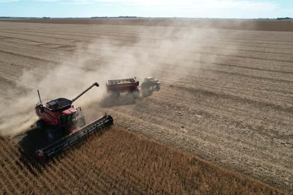El campo apura la venta de soja antes que vuelvan a subir las retenciones