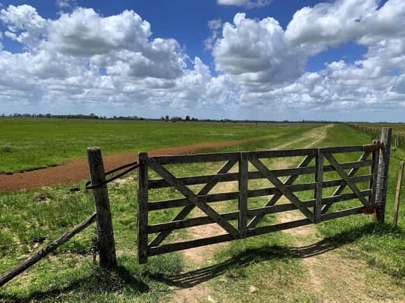 Pese a la baja de retenciones, la presión fiscal sobre el agro sigue en niveles históricos