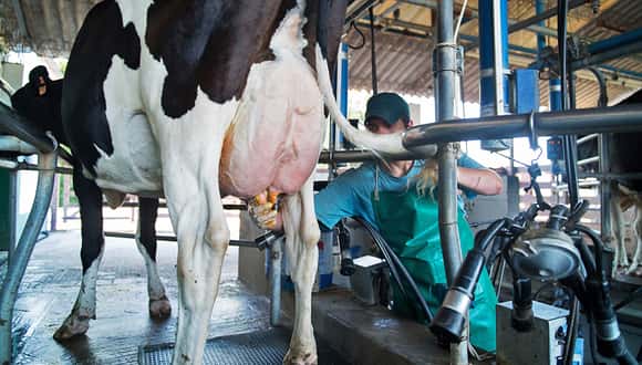 El semáforo de economías regionales de Coninagro está casi todo en rojo
