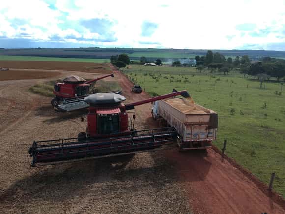 Realizan un análisis de calidad de la soja en todas las regiones productivas