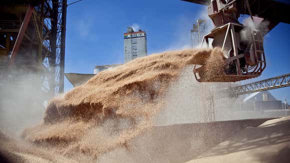 La Argentina volvió a ser la principal exportadora global de harina de soja