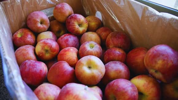 Los precios de los agroalimentos se triplicaron del campo a la góndola en julio