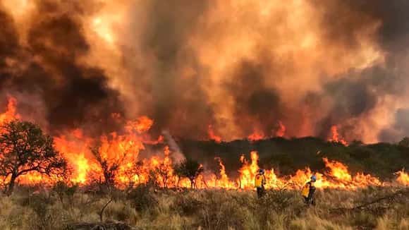 La temporada de incendios forestales se adelantó y desde INTA detallan estrategias de control y prevención