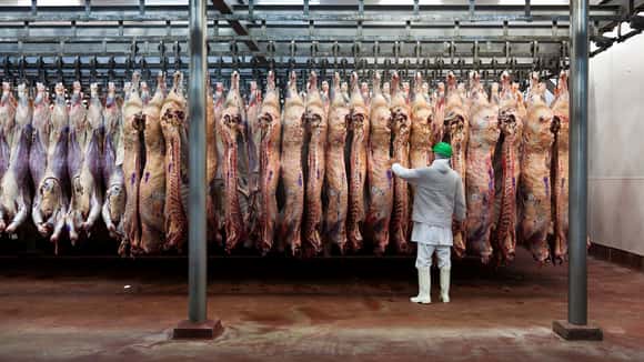 El Gobierno aclaró que las retenciones cero siguen para la exportación de carnes