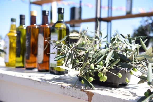 La Ruta del Olivo: un proyecto bonaerense para integrar la producción, el turismo y la identidad regional