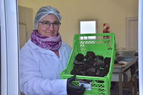 El sudoeste bonaerense pone su mira en el “diamante negro”