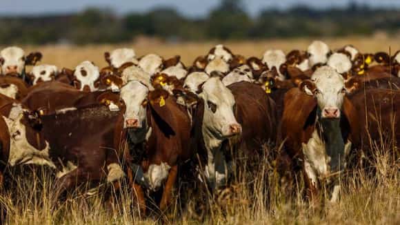 "La vacunación es una herramienta que nos da seguridad y estabilidad sanitaria"