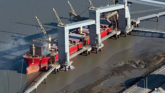 Más de 50 productos agroindustriales tuvieron la mejor performance exportadora de los últimos 7 años