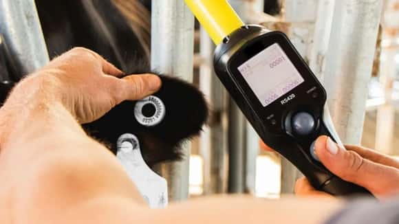 El Senasa oficializó la trazabilidad electrónica obligatoria para todo el ganado bovino, bubalino y cérvido