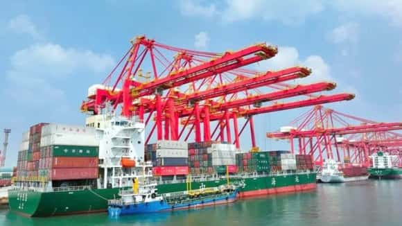 Sudáfrica habilitó la importación de colágeno bovino argentino para consumo humano