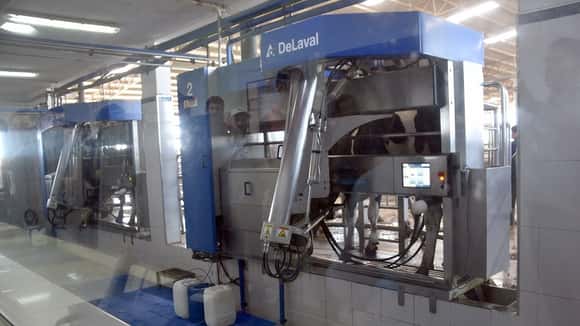 Tambos robotizados: la revolución tecnológica que transforma la lechería argentina