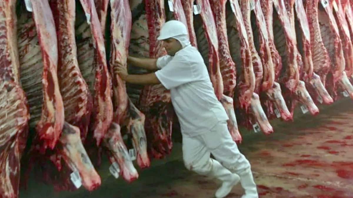 En octubre la faena de hacienda vacuna cayó un 6,4% interanual