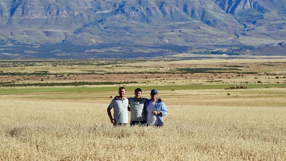 Hicieron trigo en el Calafate con rindes de 3.000 kilos por hectárea y hasta Milei los felicitó