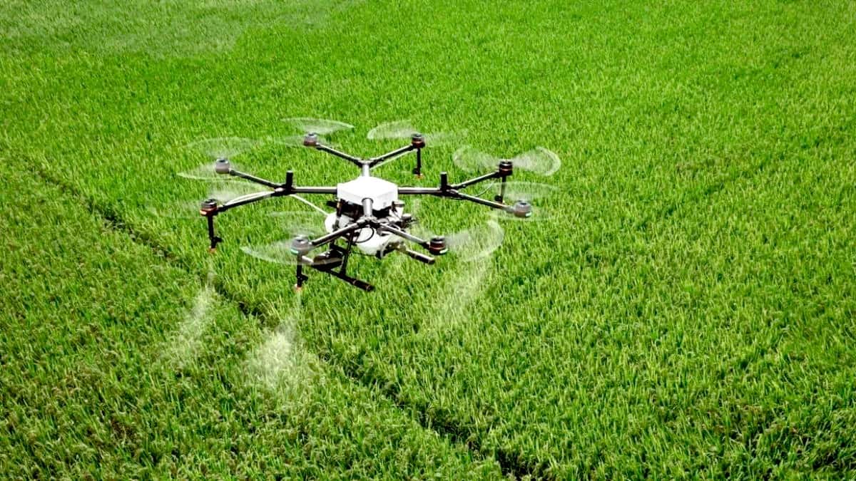 Especialistas de Casafe pusieron bajo la lupa las aplicaciones con drones