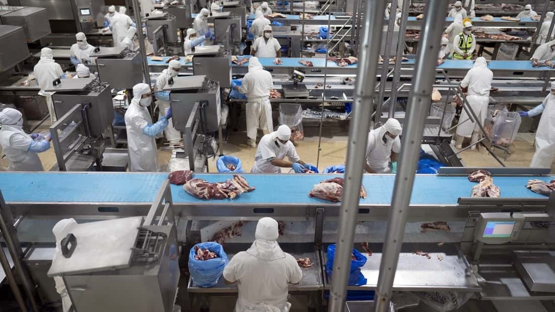 Creció más del 30% el ingreso de dólares en el primer bimestre del año por las exportaciones de carne vacuna
