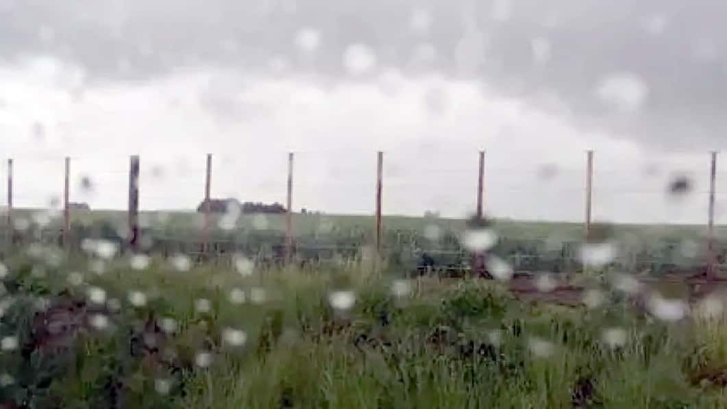 Se espera que El Niño vuelva al campo para la próxima campaña gruesa