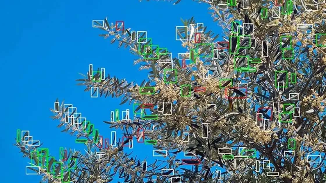 Un científico del CONICET diseñó un robot único que permite controlar plagas a través de IA