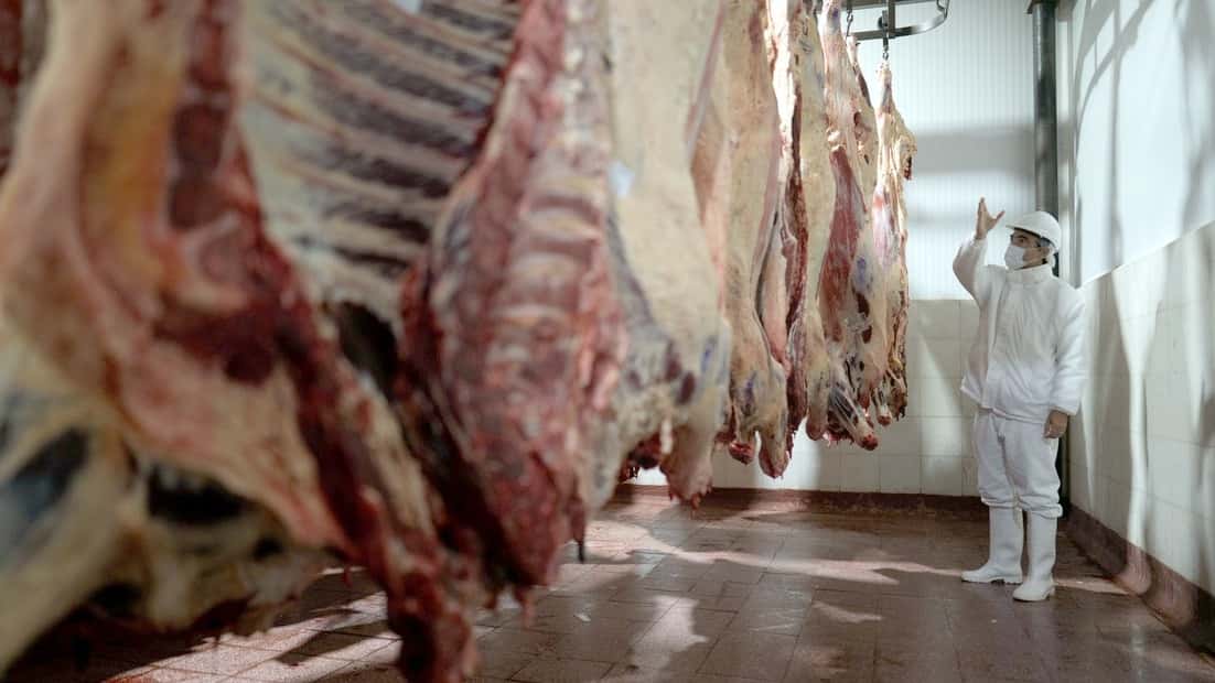 Por qué, en pleno “boom ganadero”, el sector frigorífico está en crisis